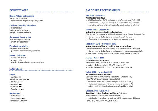 Curriculum vitae